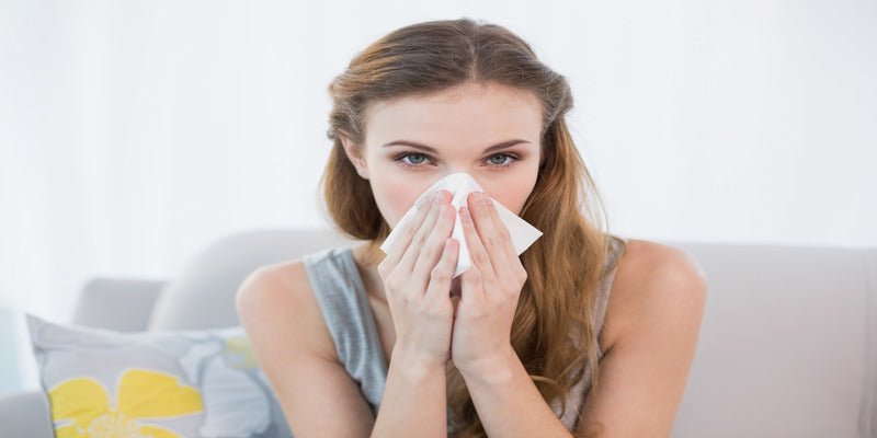 Do Air Purifiers Help with Allergies?