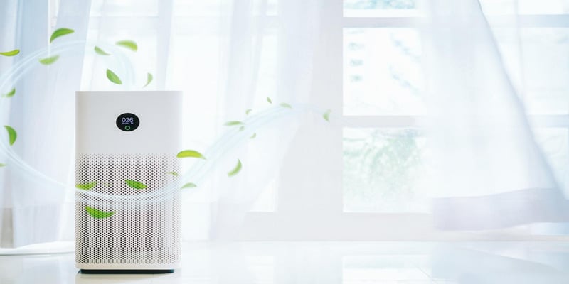 Air Purifier vs Humidifier: Which One Do You Need?