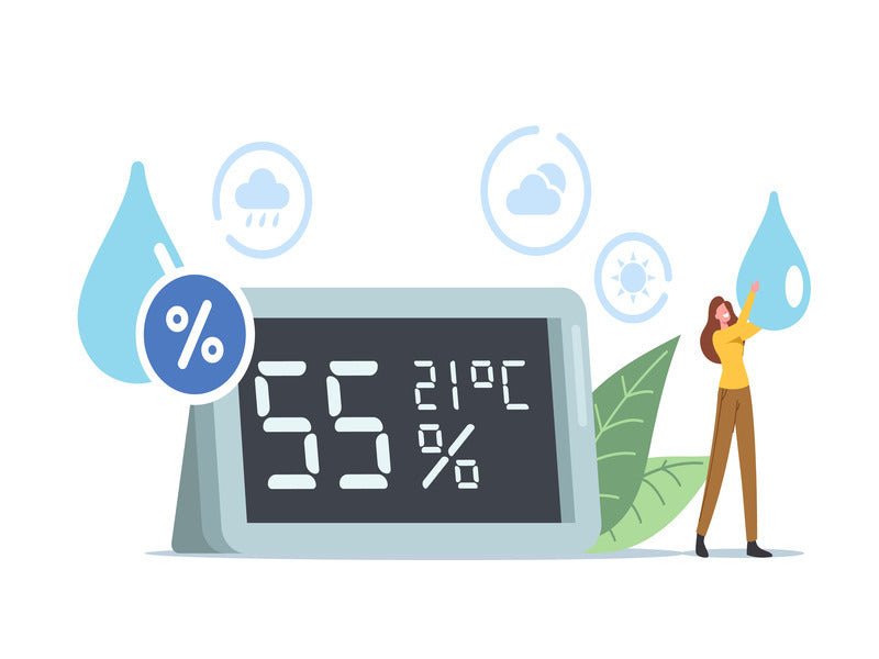 How to Calculate And Reduce Your Home's Humidity Level