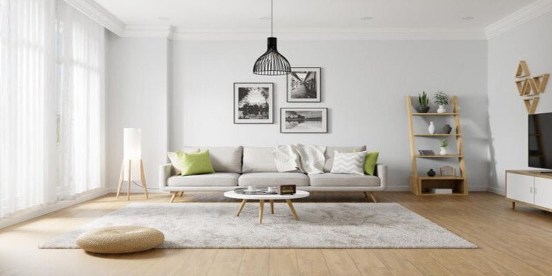 Clearing the Air: Do Air Purifiers Remove CO2?
